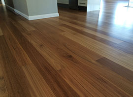 Polished Timber Floor